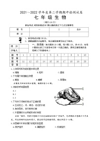 江苏省淮安市盱眙县2021-2022学年七年级下学期期中检测生物试卷（含答案）