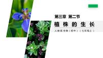 生物第二节 植株的生长课文内容ppt课件