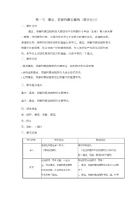 2020-2021学年第一节 藻类、苔藓和蕨类植物教案