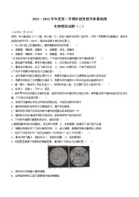 山东省菏泽市鄄城县2021-2022学年九年级下学期第二次练兵考试（二模）生物试题（无答案）