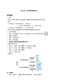 人教版生物七年级下册期末复习章节知识点汇总及练习 第五章 人体内废物的排出