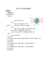 人教版生物七年级下册期末复习章节知识点汇总及练习 第六章 人体生命活动的调节