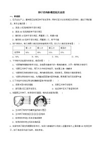 备考中考生物实验专项复习 种子结构和萌发相关实验解析版