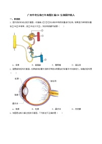 广西中考生物三年真题汇编 生物圈中的人解析版