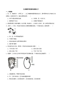 2021年山东省中考生物真题汇编 生物圈中的绿色植物解析版