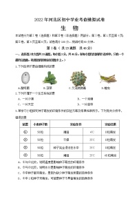 2022年天津市河北区初中学业考查模拟生物试题 (word版含答案)