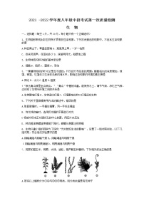 河南省周口市川汇区2021-2022学年八年级中招考试第一次质量检测生物试卷（有答案）