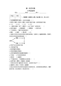 人教版生物七年级上册月考试题4 含答案