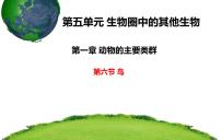 初中生物人教版 (新课标)八年级上册第五单元 生物圈中的其他生物第一章   动物的主要类群第六节   鸟教学演示ppt课件