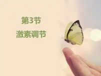 初中生物北师大版七年级下册第3节 激素调节图片课件ppt