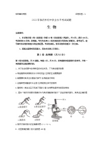 2022年山东省临沂市中考生物真题(word版无答案)