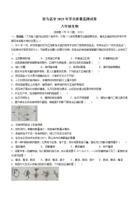 2022年河南省驻马店市中考二模生物试题(word版含答案)