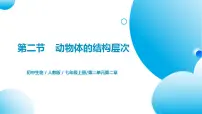 人教版 (新课标)七年级上册第二节 动物体的结构层次优秀习题课件ppt