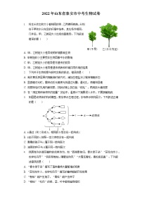 2022年山东省泰安市中考生物试卷(含答案解析）