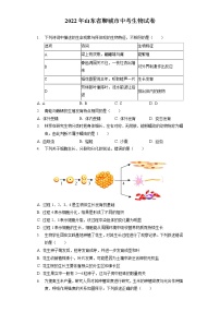 2022年山东省聊城市中考生物试卷（含答案解析）