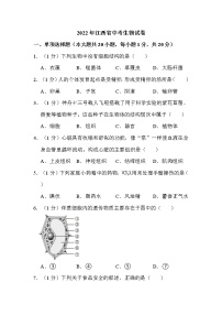 2022年江西省中考生物试卷解析版