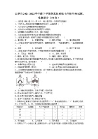 湖北省孝感市云梦县2021-2022学年七年级下学期期末生物试题（含答案）