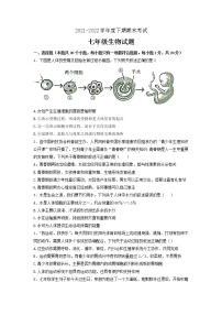 河南省周口市扶沟县2021--2022学年七年级下学期期末生物试卷（含答案）