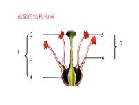 济南版生物八年级上册总复习 重要图示