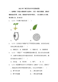 2022年广西百色市中考生物试卷解析版