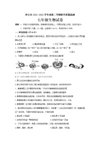 江西省萍乡市2021-2022学年七年级下学期期末教学质量监测生物试题(word版含答案)