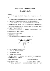 河南省禹州市2021-2022学年七年级下学期期末生物试题（含答案）