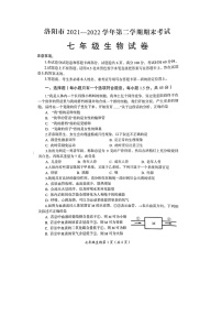 河南省洛阳市2021-2022学年七年级下学期期末考试生物试题（无答案）