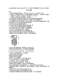 山东省冠县2021-2022学年七年级下学期期末学业水平检测生物试题（无答案）