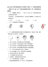 河南省新乡市卫辉市2021-2022学年八年级下学期期末生物试卷（含答案）