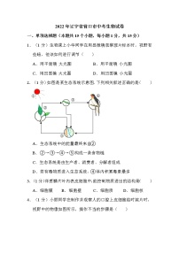 2022年辽宁省营口市中考生物试卷解析版