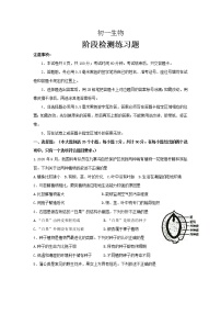 山东省烟台市芝罘区（五四制）2021-2022学年六年级下学期期末考试生物试题(word版含答案)