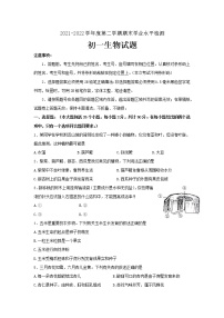 山东省烟台莱州市（五四制）2021-2022学年六年级下学期期末考试生物试题(word版含答案)