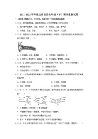 重庆市忠县2021-2022学年七年级下学期期末生物试卷(word版含答案)