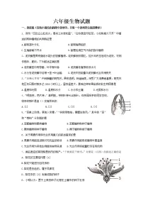 山东省烟台栖霞市（五四制）2021-2022学年六年级下学期期末考试生物试题(word版含答案)