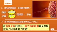 人教版 (新课标)八年级下册第二节 基因在亲子代间的传递课堂教学课件ppt