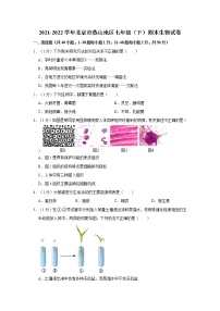 北京市燕山地区2021-2022学年七年级下学期期末生物试卷(word版含答案)