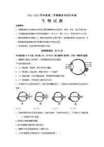 山东省济南市莱芜区（五四制）2021-2022学年七年级下学期期末考试生物试题(word版含答案)