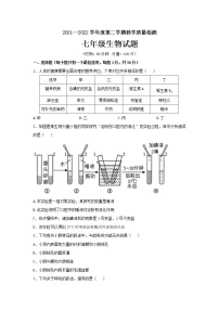 山东省滨州市惠民县2021-2022学年七年级下学期期末考试生物试题(word版含答案)