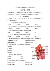 广西玉林地区2021-2022学年七年级下学期期末考试生物试题(word版含答案)