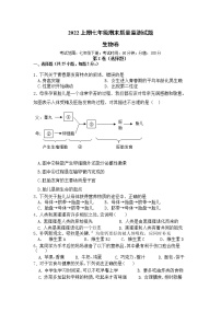 湖南省怀化市溆浦县2021-2022学年七年级下学期期末考试生物试题(word版含答案)