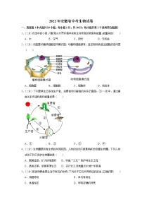 2022年安徽省中考生物真题试卷(word版含答案)