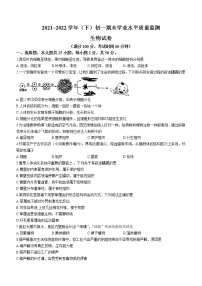 江苏省南通市通州区2021-2022学年七年级下学期期末生物试题(word版含答案)