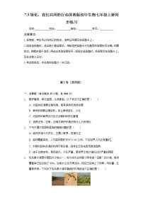 2021学年第3单元 生物圈中的绿色植物第7章 绿色植物在生物圈中的作用第三节 绿化，我们共同的行动优秀测试题