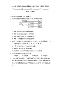 苏教版八年级上册第五单元 生物多样性第十四章 丰富多彩的生物世界第四节 生物的分类精品课时作业