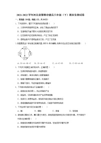 河北省邯郸市魏县2021-2022学年八年级下学期期末生物试卷(word版含答案)