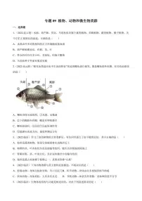 2022年中考生物真题分类汇编 专题09 植物、动物和微生物类群(学生版+解析版)