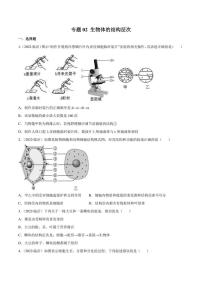 2022年中考生物真题分类汇编 专题02 生物体的结构层次（学生版+解析版）