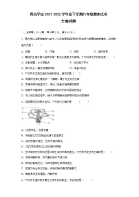 安徽省滁州市定远县青山学校2021-2022学年八年级下学期期末生物试卷(word版含答案)