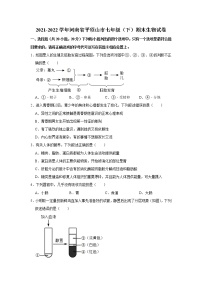 河南省平顶山市2021-2022学年七年级下学期期末生物试卷(word版含答案)