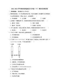 海南省临高县2021-2022学年七年级下学期期末达标检测生物试题(word版含答案)